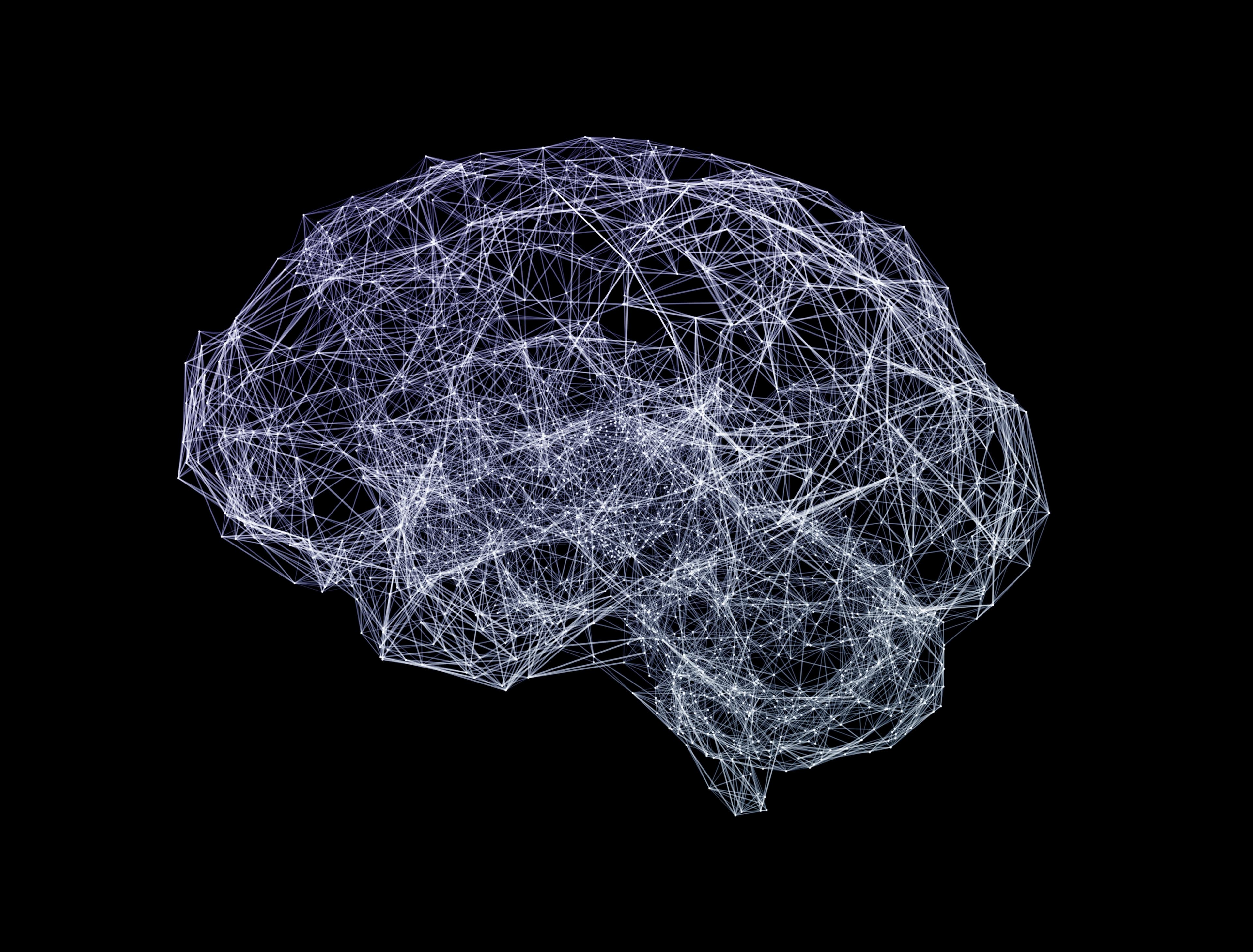 MicroTorch neural network structure diagram